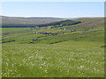 The valley of Killhope Burn above Wearhead (2)