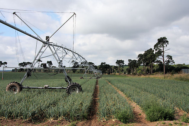 Onion field and irrigation system © Bob Jones cc-by-sa/2.0 :: Geograph ...