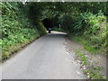 Blind corner on Cob Lane