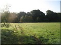 Grassland, Stormontfield