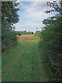 Field Access Track near Santon Wood