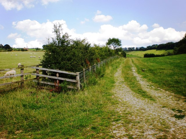 Track to Woodley Farm