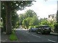 Old Park Road - viewed from Davies Avenue