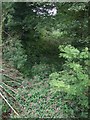 Disused railway bed at Pentre Berw