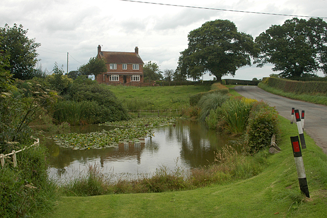 Roadside pond on NCR 45