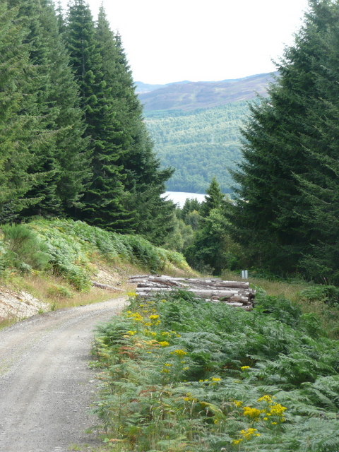 Track with a view of Loch Tummel