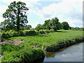 SJ8909 : Farmland by the River Penk, near Brewood, Staffordshire by Roger  Kidd