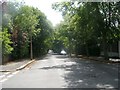 North Park Grove - viewed from Lidgett Park Avenue