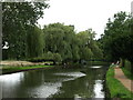 The River Wey at Guildford