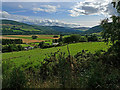 Field at the edge of Dull Wood