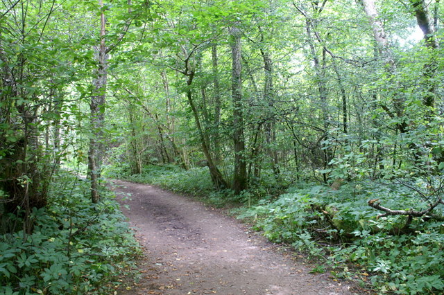 Urquhart Bay Woods, Drumnadrochit © Mike Pennington cc-by-sa/2.0 ...