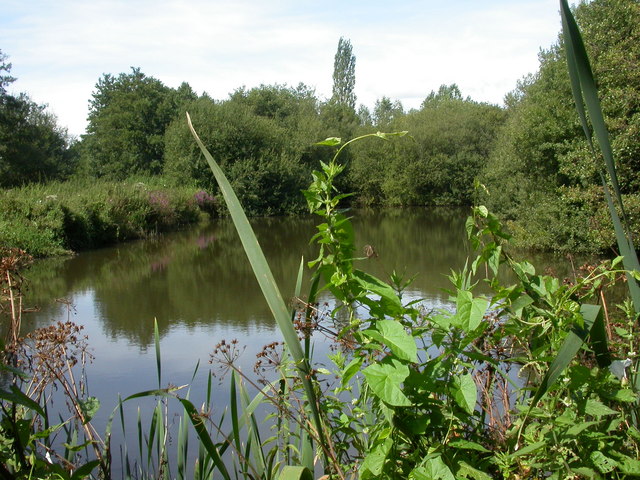 Verwood, fishing lake © Mike Faherty cc-by-sa/2.0 :: Geograph Britain ...