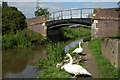 Canal bridge on NCR 5 & 56