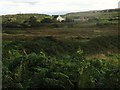 View across the marshy valley floor towards Gors-y-Twr Farm