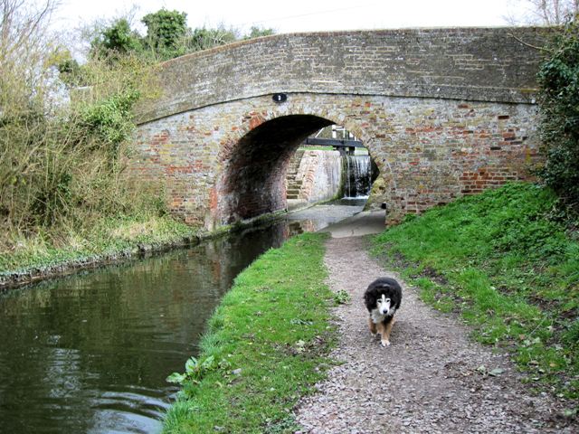 Aylesbury Arm: Wilstone Bridge (No 3)