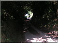 Lane to Starved Oak cross at Jackmoor