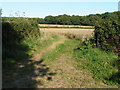 SX9199 : Fields near Sevenstone Barton, looking east by Rob Purvis