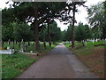 Footpath in the graveyard