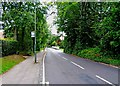 Warren Road, looking west