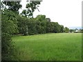 Grassland near Blair