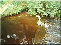 Sluice on stream,a tributary of the River Kinder