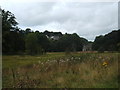 Meadow  by Stoke Brook