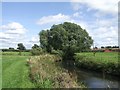 River Penk downstream near Engleton Mill