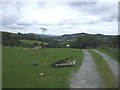 Track to Nantyrhogfaen Farm