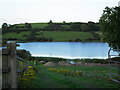 Loughinisland Lake from Drumgooland