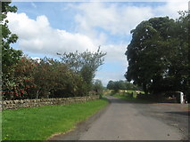 NT6240 : Road heading eastwards through Fans Farm by James Denham