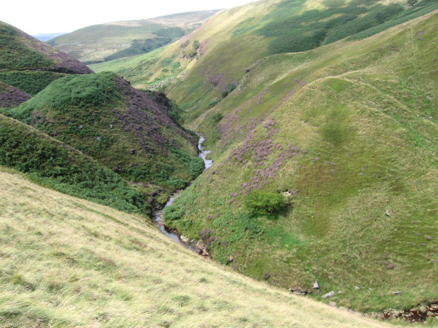 Abbey Brook near Berristers Tor © Chris Wimbush :: Geograph Britain and ...