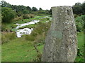 Wallis Pond, Ambleston