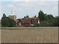 Gilston - church and cottages