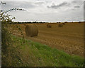 Farmland north of Lund