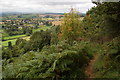 Footpath on Coppett Hill