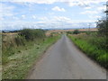 The road leading to Parkend Farm