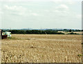 2009 : Cropped field near Down Farm