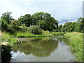 Union Canal at Hallglen