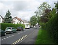 Allerton Avenue - Street Lane