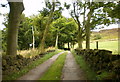 Road from Lower Butterfield End to Butterfield End Lane