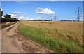 Farm track alongside Grenoble Road