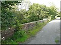 NY4960 : Ruleholme Bridge by Rose and Trev Clough