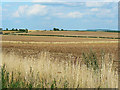 Stubble fields, near Shipton Under Wychwood