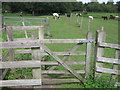 Darenth Valley Path through horse paddocks