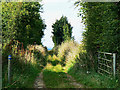 Bridleway to Milton Downs Farm, Fulbrook