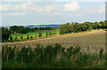 Field near Milton Downs Farm, Fulbrook