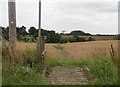 Public footpath between Wellpond Green and Standon