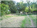 Looking back from Rectory Wood towards Cunnery Road