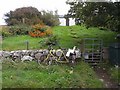 Cottage and bike at Uig