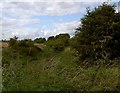 The remains of the Dearne and Dove Canal